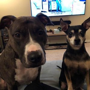 Meet your Posher, Sandy